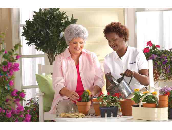 $250 Gift Certificate for Services with Senior Helpers