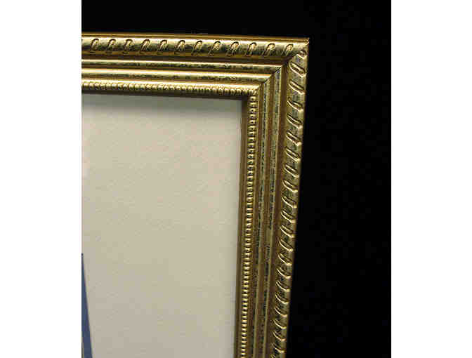 White Poenies Picture Double Matted and Framed