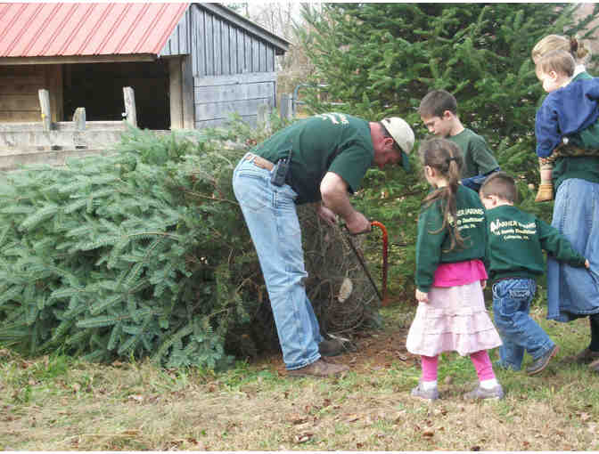 $100 Gift Certificate for a Live Christmas Tree from Varner Farms