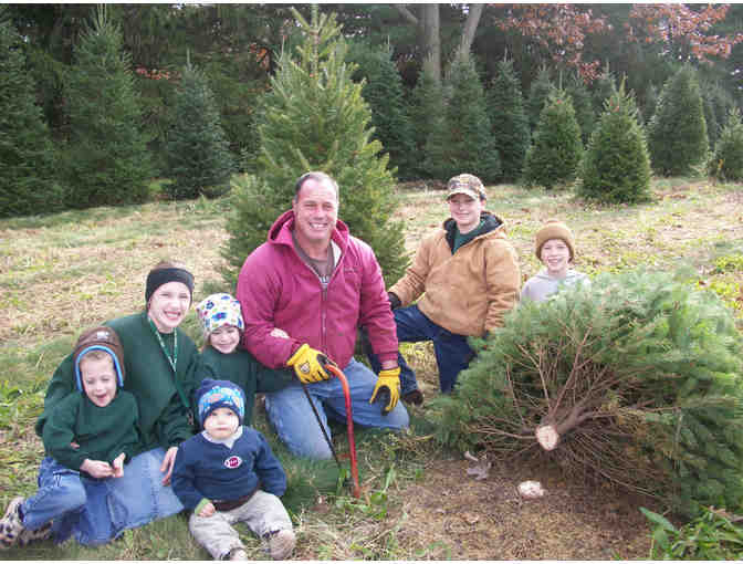 $100 Gift Certificate for a Live Christmas Tree from Varner Farms