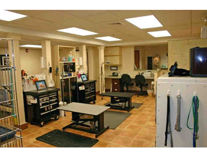 Gift Certificate to Pampered Pets, Items from Kiehl's Grooming