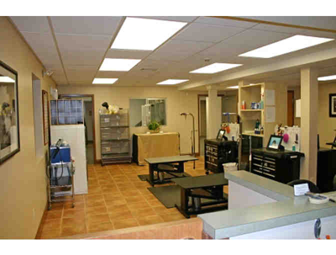 Gift Certificate to Pampered Pets, Items from Kiehl's Grooming