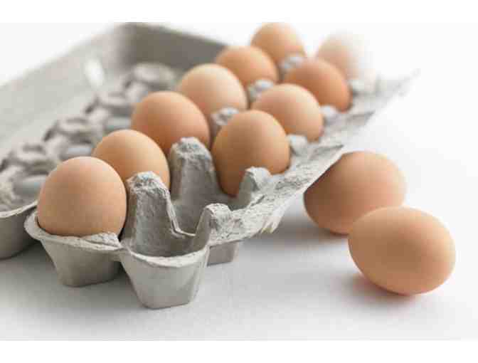 6 Dozen Organic Eggs from The Old Dutch Cupboard