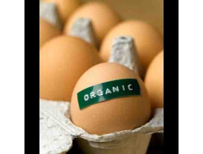 6 Dozen Organic Eggs from The Old Dutch Cupboard