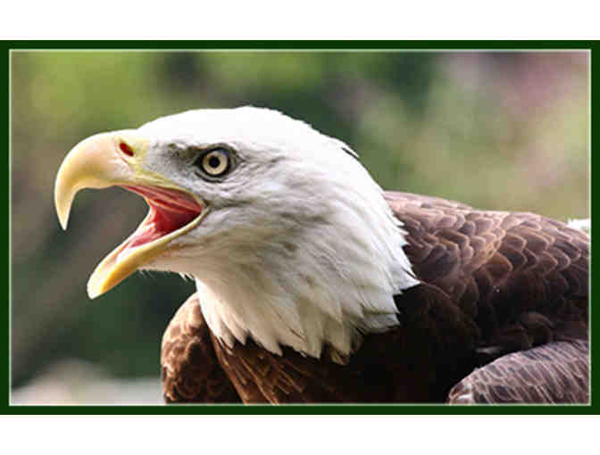 Four Passes to Elmwood Park Zoo