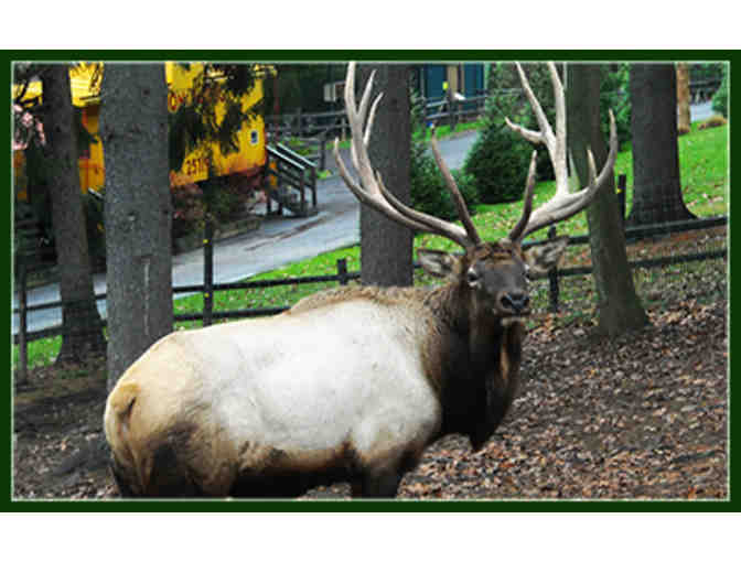 Four Passes to Elmwood Park Zoo