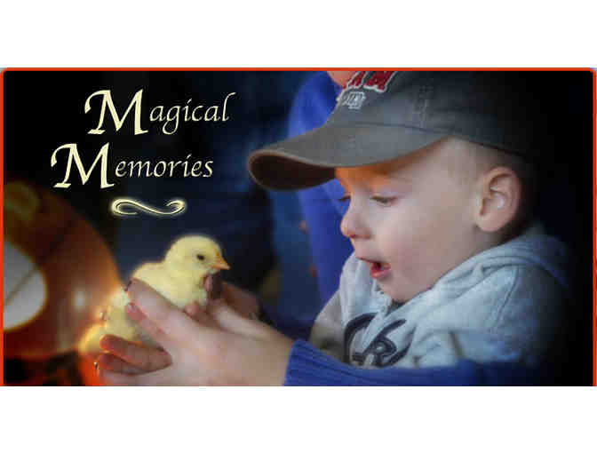 Family Pass for Four to Cherry Crest Adventure Farm