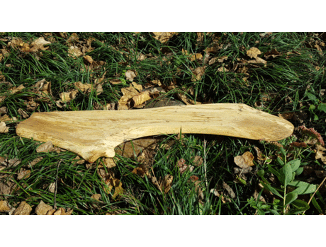 American Beech Shelf