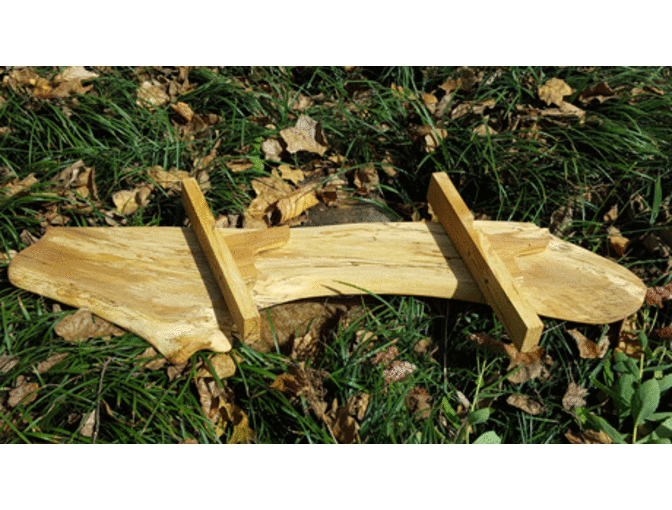 American Beech Shelf