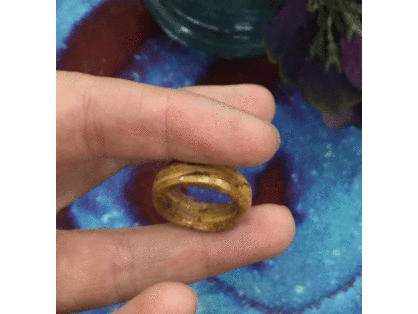 American Beech Ring