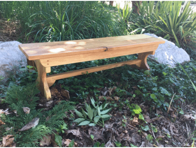 American Beech Bench