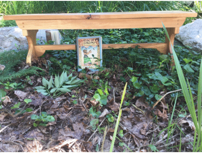 American Beech Bench