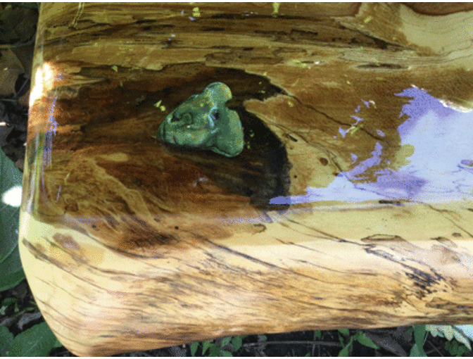 American Beech Bench