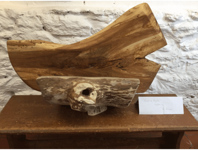 American Beech Sculpture