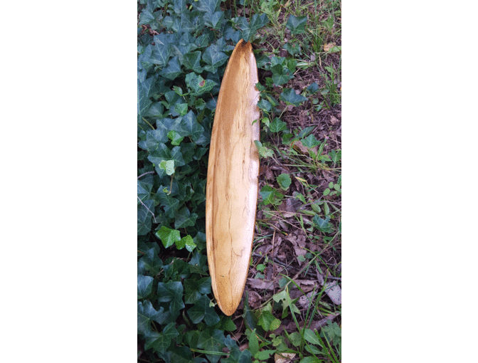 American Beech Bread Bowl