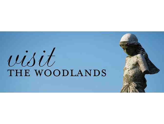 Guided Tour of the Woodlands