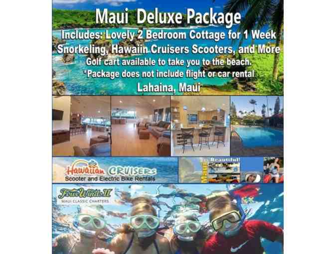 Maui Package - Photo 1