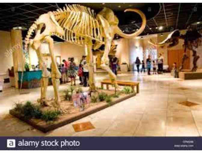 Arizona Museum of Natural History Admission for two