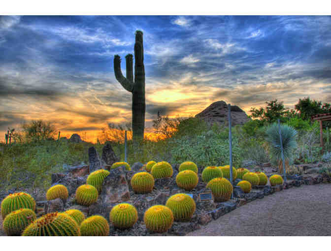 1 Year Senita Club Membership to the Desert Botanical Gardens