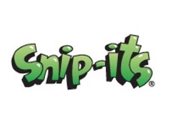 Snip-Its 2 Haircut gift certificates