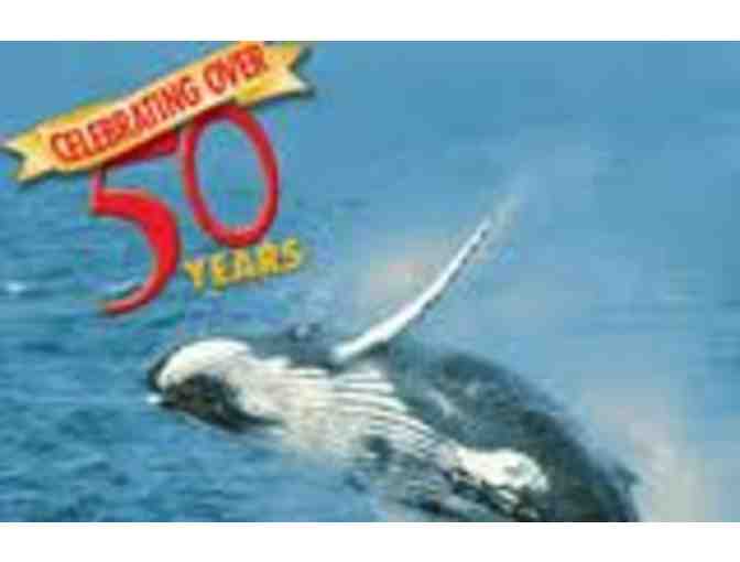 Capt. Bill & Sons Whale Watch  - 2 Vouchers