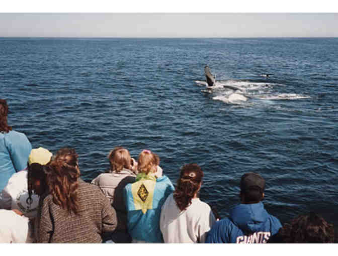 Capt. Bill & Sons Whale Watch  - 2 Vouchers