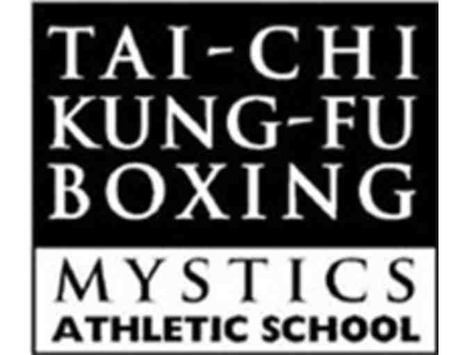 Mystics Athletic School: 2 Private Family Kung-Fu Lessons
