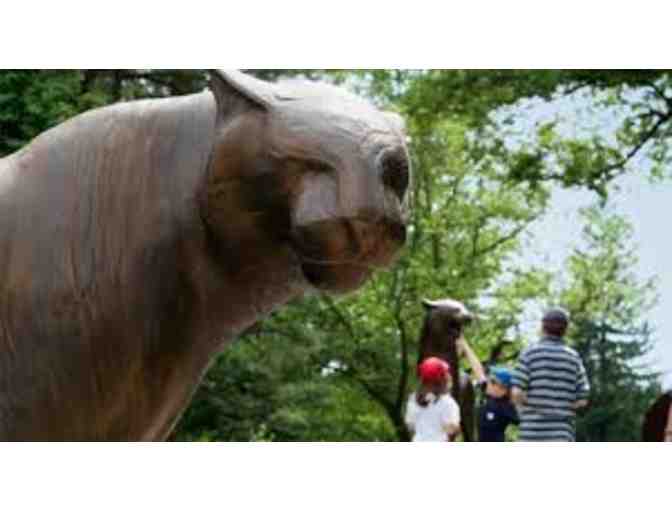 DeCordova Sculpture Park and Museum 4 admissions passes