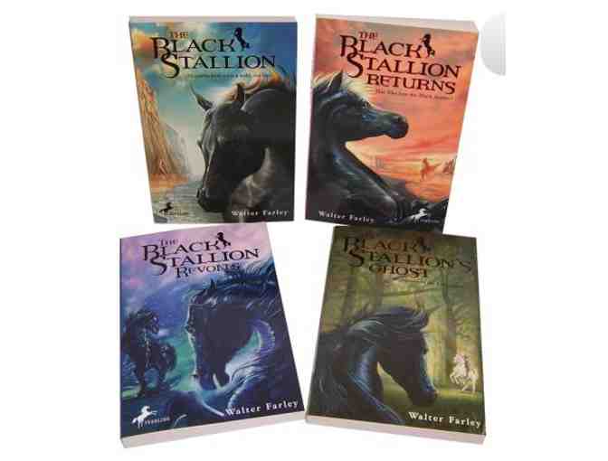 The Black Stallion 4 Book Boxed Set.