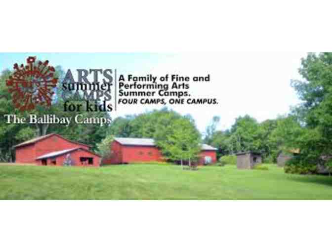 Two Week Summer Camp at The Farm Arts OR The Rock Farm