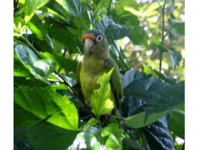 One Week stay at Casa de Manana for up to Six