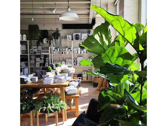 Oak + Moss $20 Gift Card