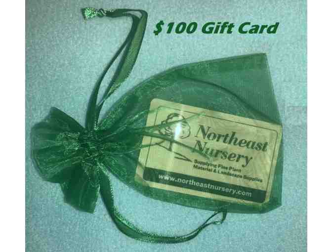 Northeast Nursery $100 Gift Card