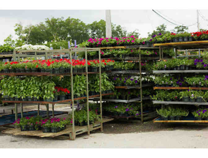 Northeast Nursery $100 Gift Card