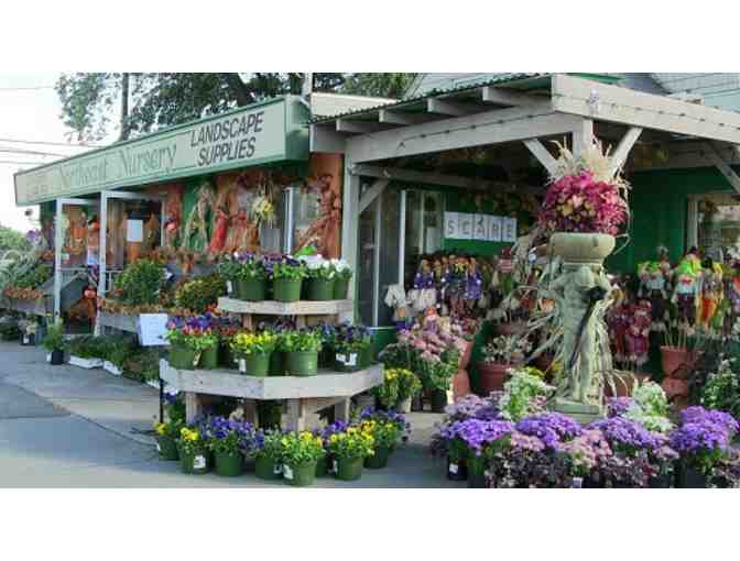 Northeast Nursery $100 Gift Card