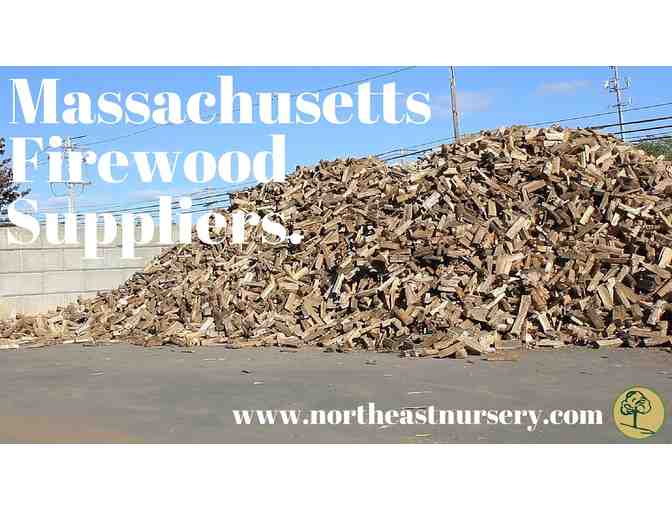 Northeast Nursery $100 Gift Card