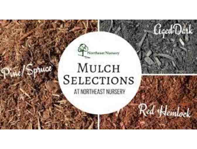 Northeast Nursery $100 Gift Card