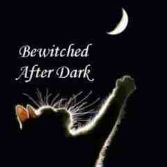 Bewitched After Dark