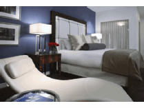 Experience the Windy City