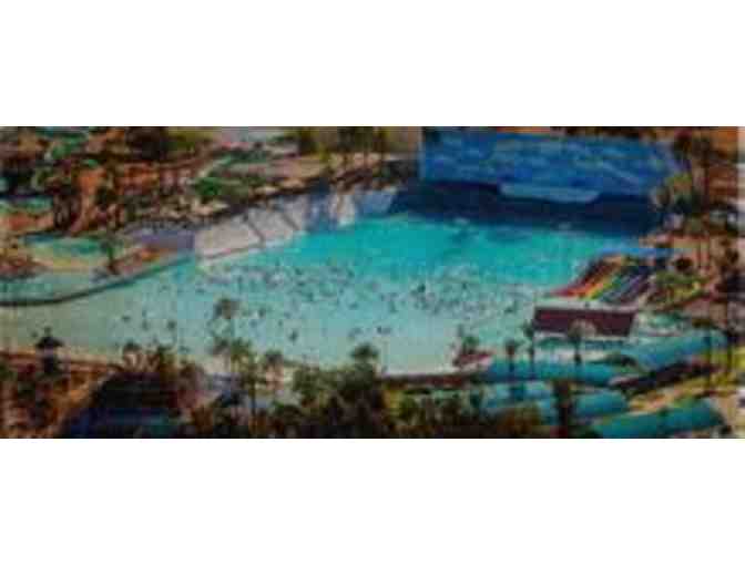 Big Surf Waterpark two (2) passes for the 2020 season