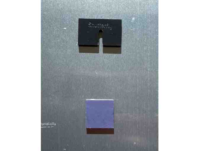 H02 'Sea Turtle', on Metal 8' x 10'