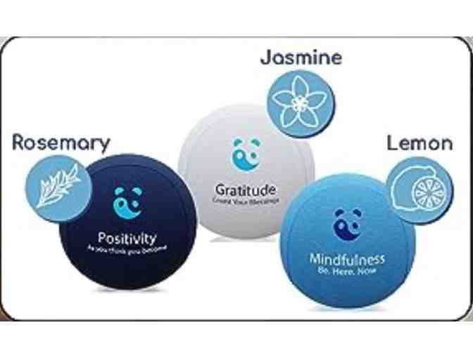 L12 Mindful Therapy Stress Balls
