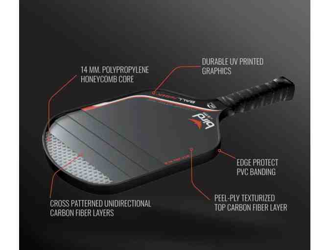 D10 Bird Ball Hawk Pickleball Paddle