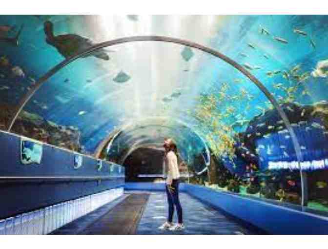 B06 Georgia Aquarium -Two (2) General Admission Tickets