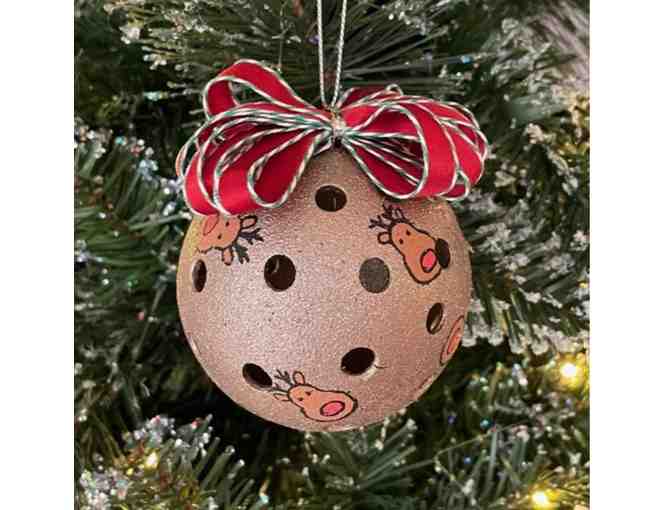 O39 Upcycled Pickleball Ornament #39