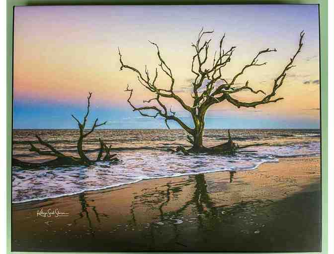 H20 'Jekyll Island, Driftwood Beach Sunrise' 16'x20' Wrapped Canvas