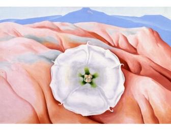 Museum Lover's Package: Orlando and Sarasota