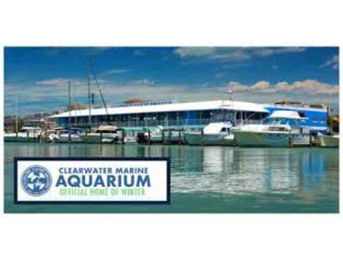 Clearwater Marine Aquarium: 4 Tickets  See Winter the Dolphin - Photo 1