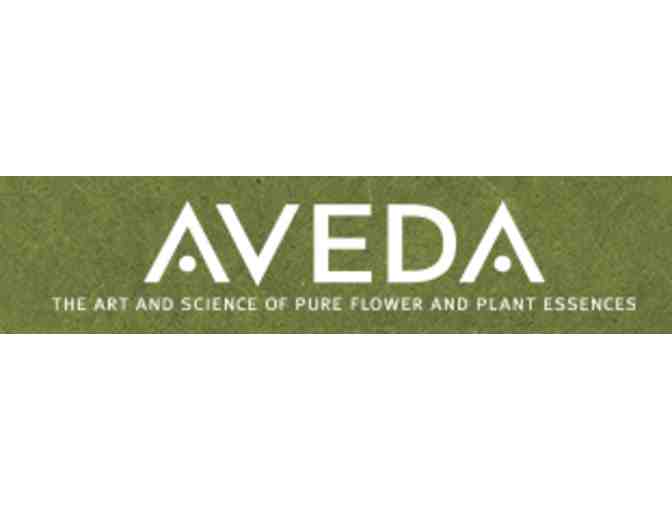 Aveda Pampering Party for 5 & Aveda Products - Photo 1