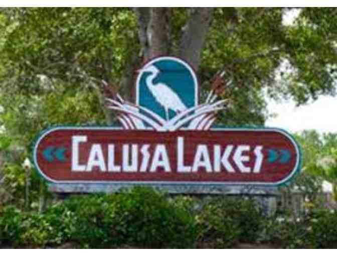 Round of Golf for 4 with carts at Calusa Lakes Golf Club